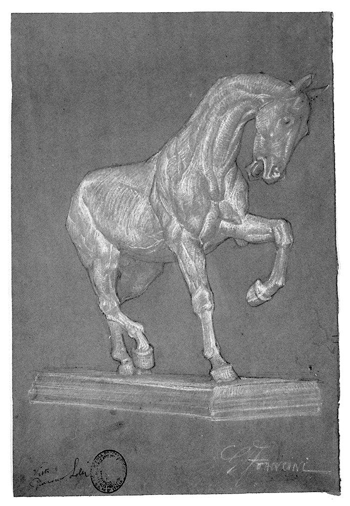cavallo (disegno) di Francini Giuseppe (sec. XX)