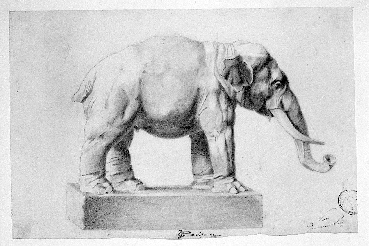 elefante (disegno) di Becherini Giuliano (sec. XX)