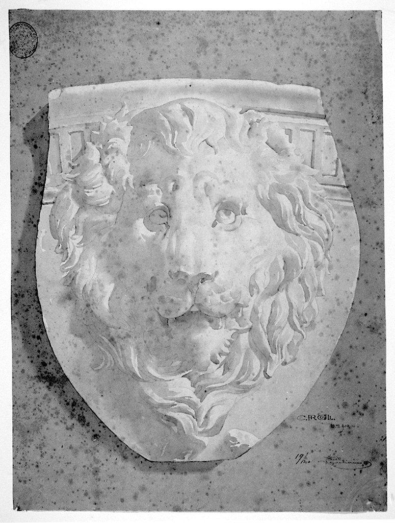 testa di leone (disegno) di Rigoli Carlo (sec. XX)