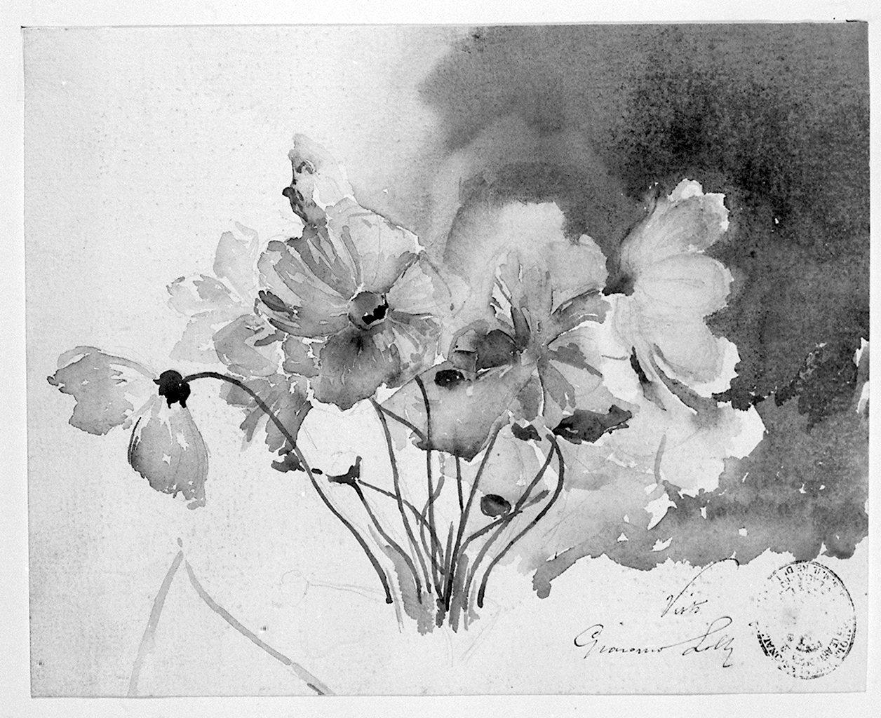 fiori (disegno) - ambito toscano (sec. XX)