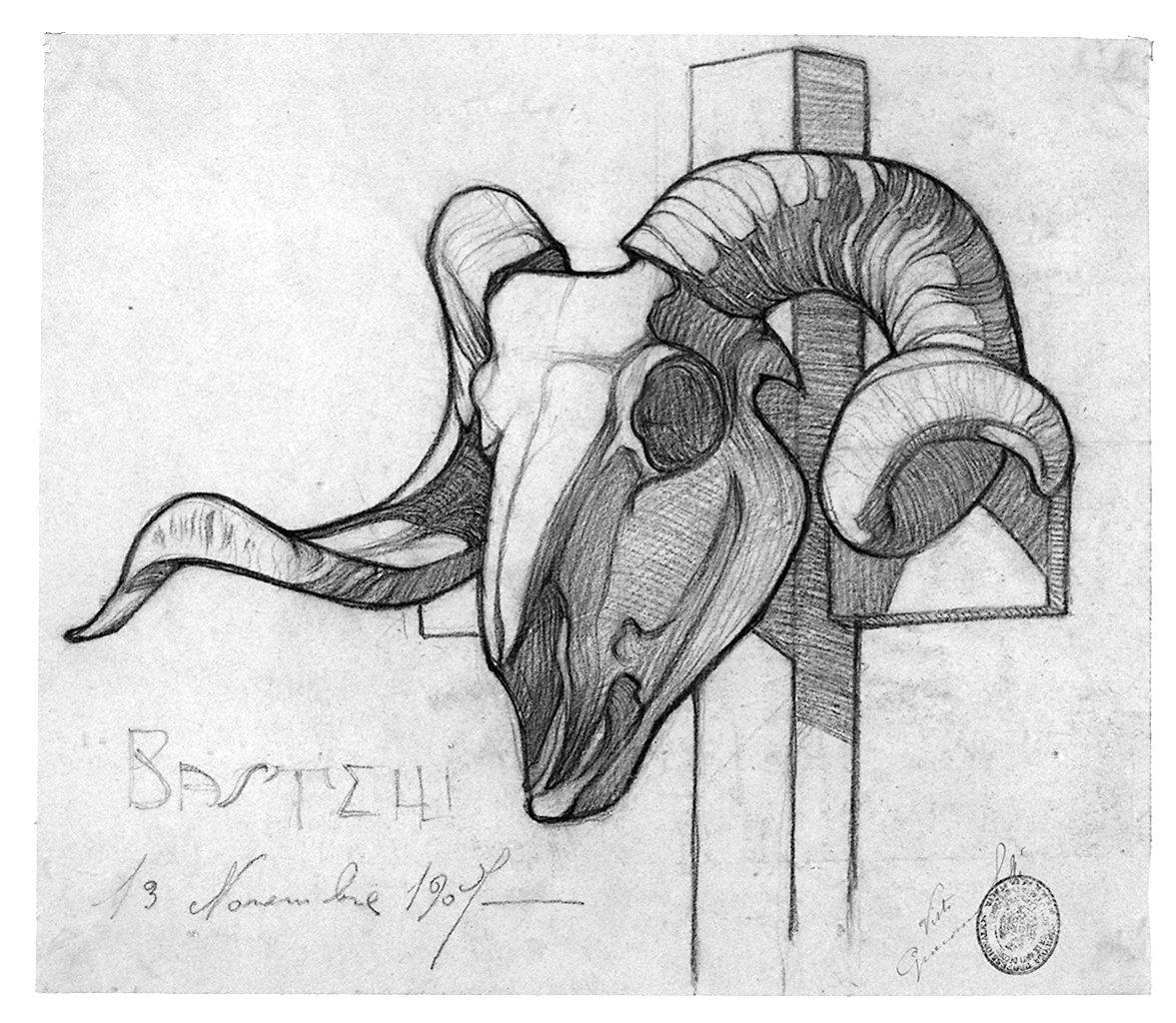 bucranio (disegno) di Bastelli Cesare (sec. XX)