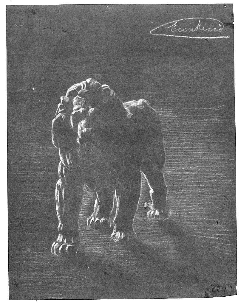 leone (disegno) di Riccò Econ (sec. XX)