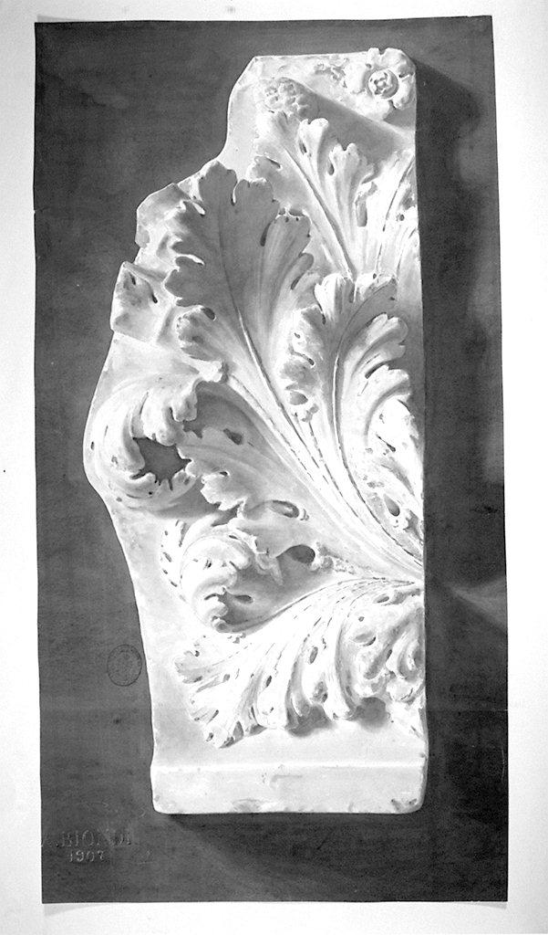 motivi decorativi a foglie d'acanto (disegno) di Biondi Amedeo (sec. XX)