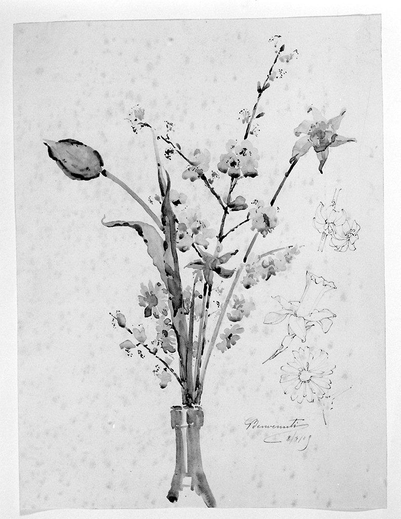 vaso con fiori (disegno) di Benvenuti Giuseppe (sec. XX)