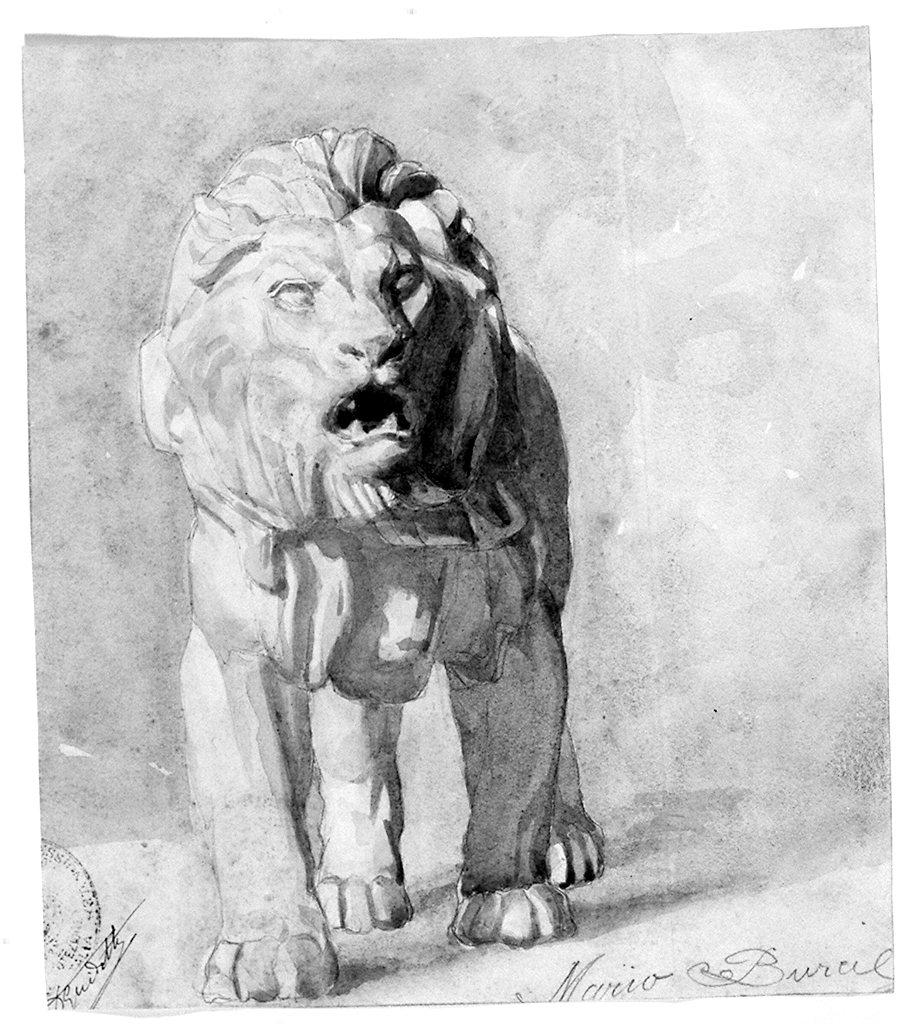 leone (disegno) di Burci Mario (sec. XX)