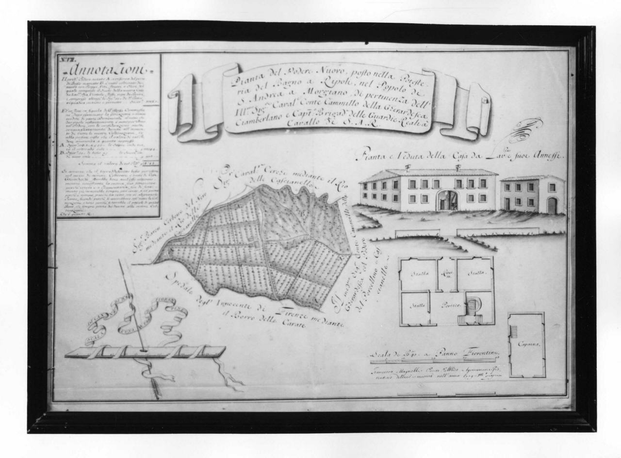 pianta del podere Nuovo (disegno) di Magnelli Francesco (sec. XVIII)