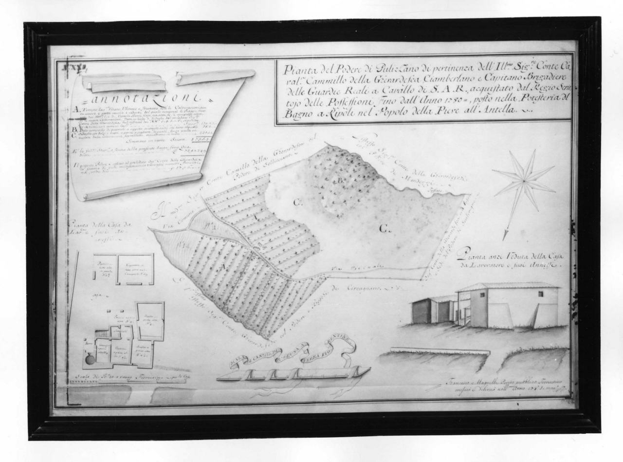 pianta del podere di Pulizzano (disegno) di Magnelli Francesco (sec. XVIII)