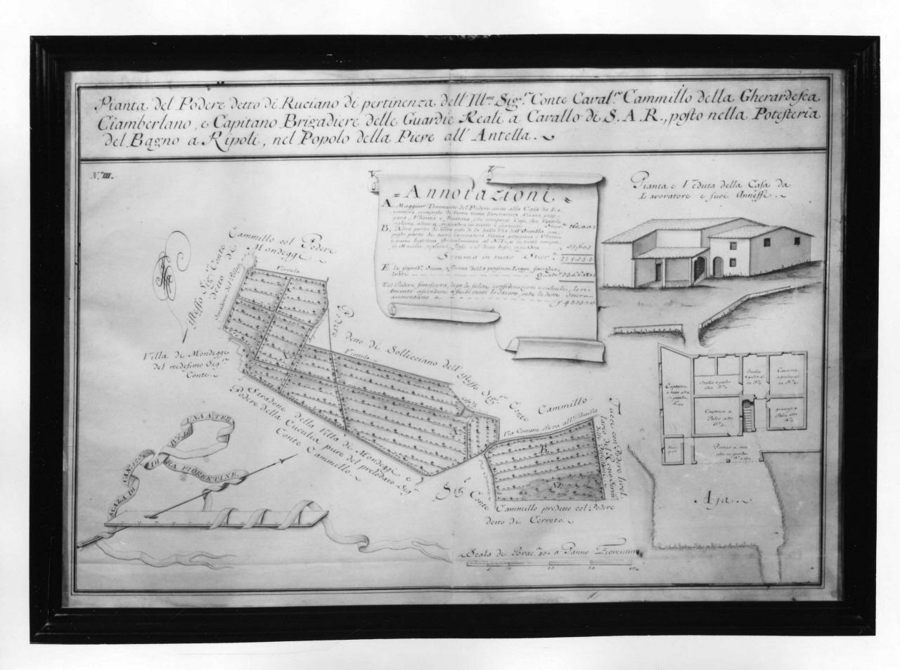 pianta del podere di Rusciano (disegno) di Magnelli Francesco (sec. XVIII)