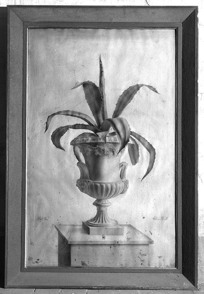 vaso con fiori (disegno, serie) di Piorcelli Elvira, Imperi Bianca (seconda metà sec. XIX)