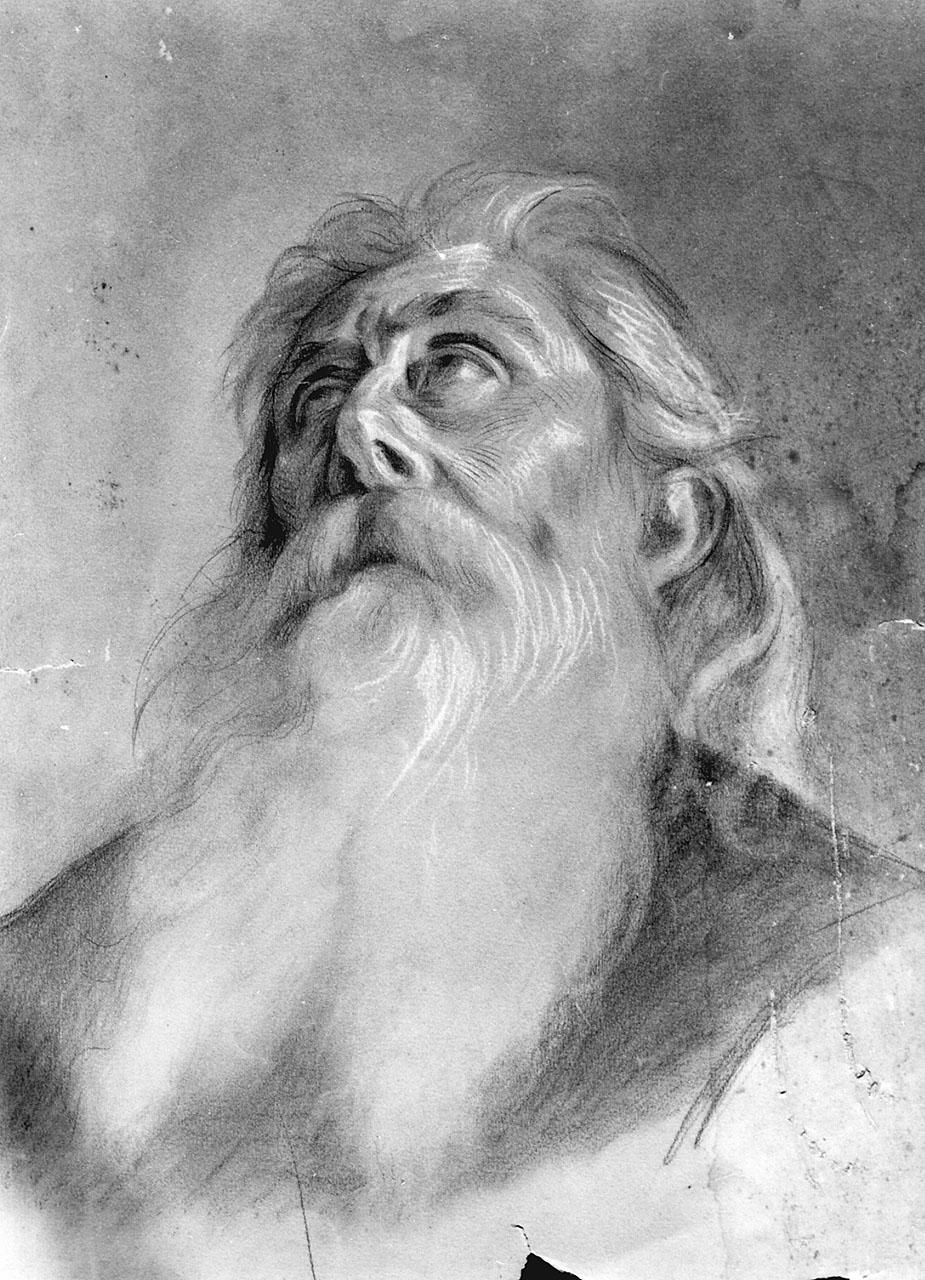 testa di vecchio barbuto (disegno) - ambito italiano (seconda metà sec. XVII)