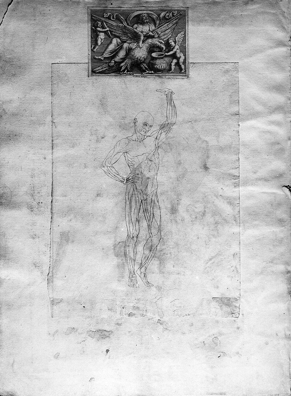 Giove (stampa smarginata) di Bartoli Pietro Santi (attribuito) (secc. XVII/ XVIII)