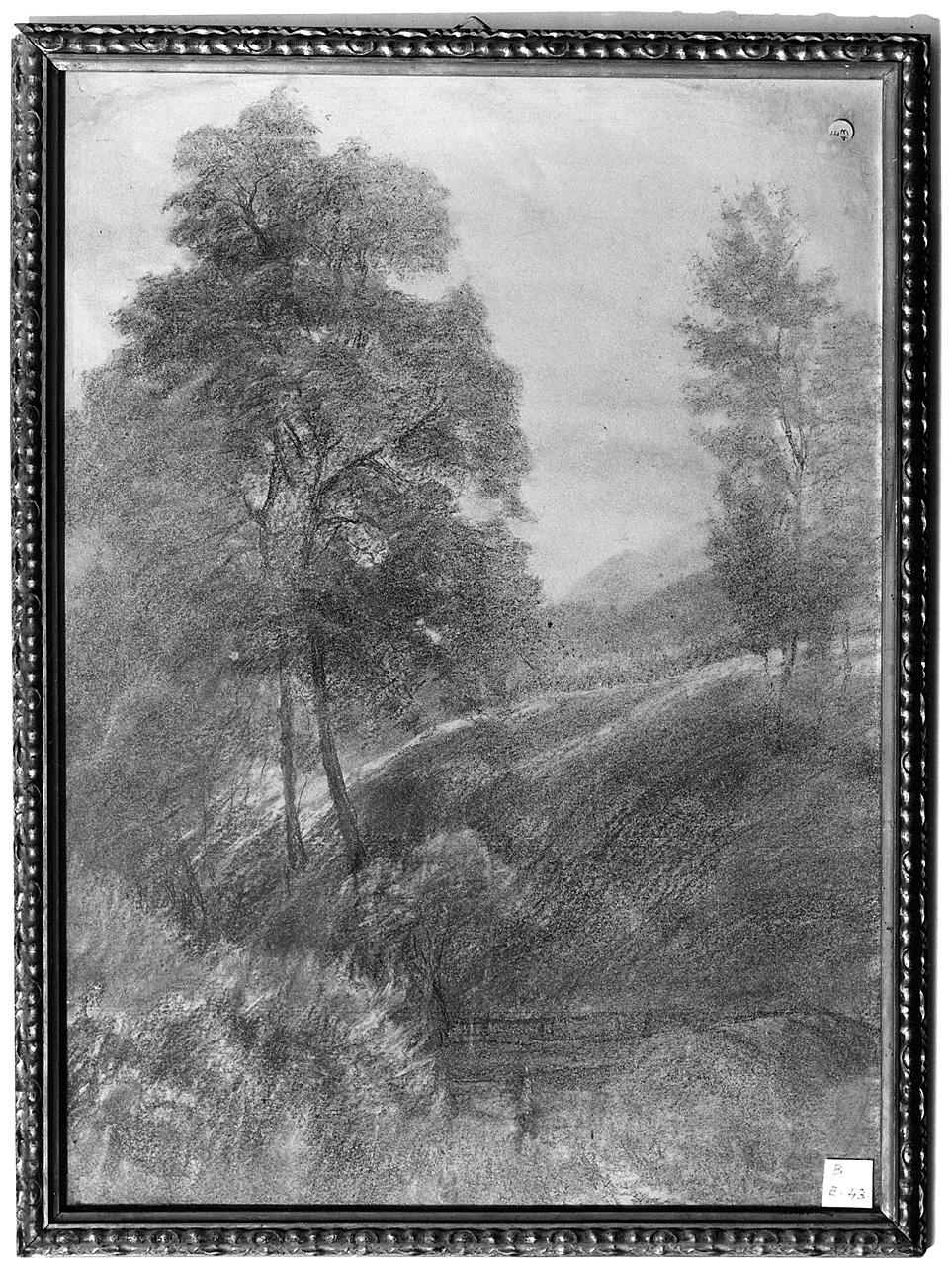 paesaggio con alberi (disegno) - ambito romano (seconda metà sec. XIX)