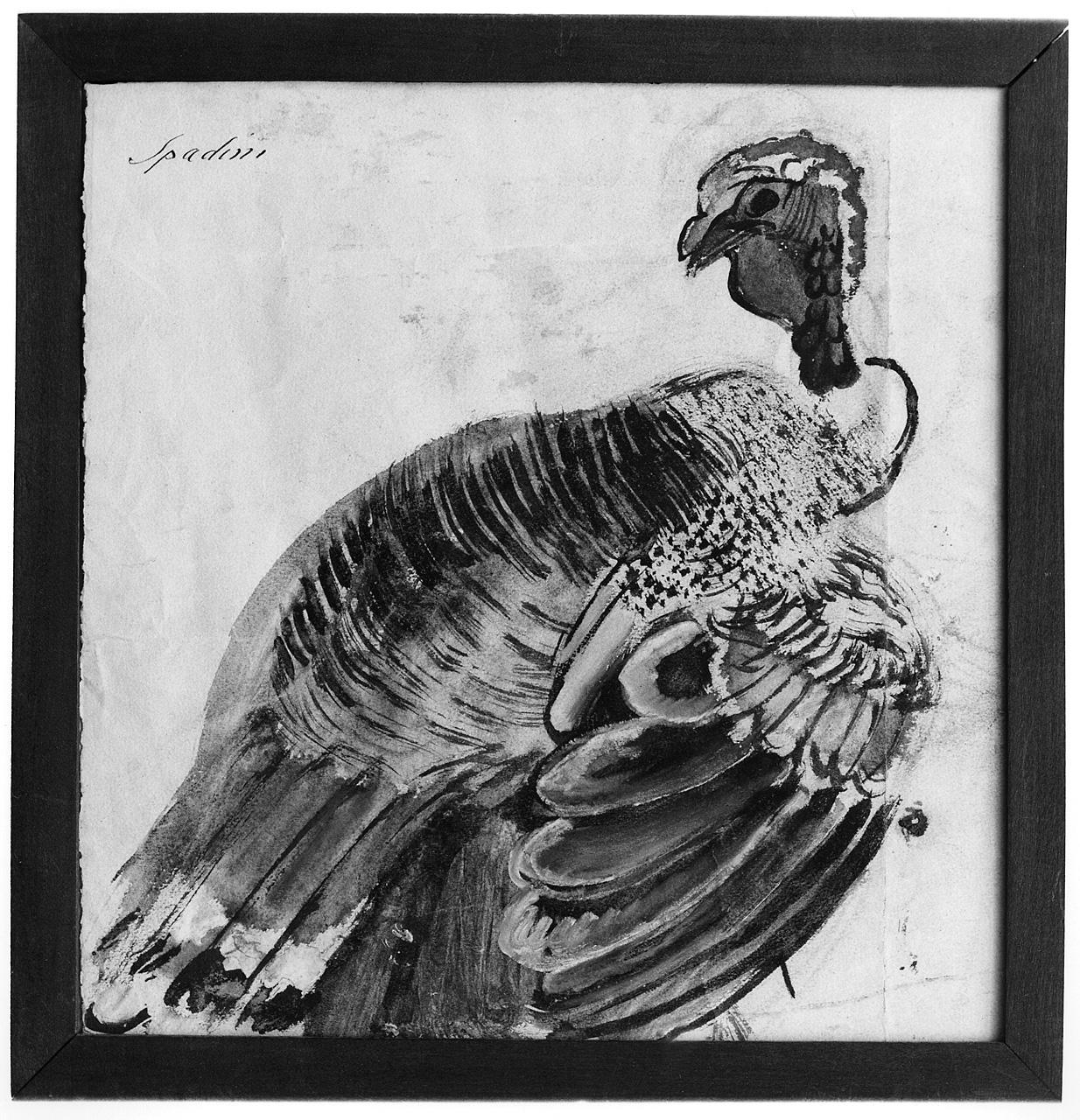 tacchino (disegno) di Spadini Armando (primo quarto sec. XX)