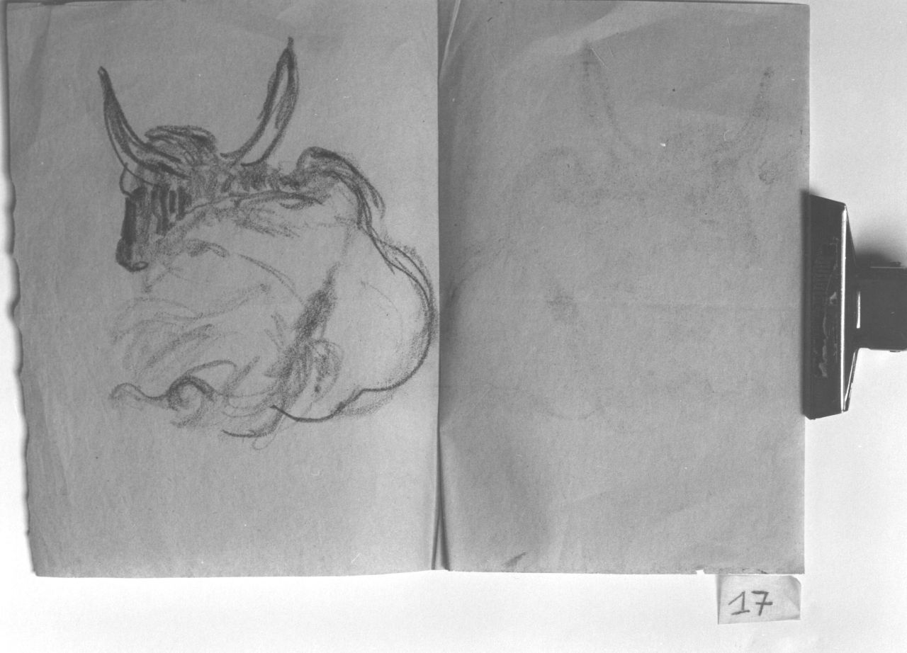 bue (disegno) - ambito toscano (?) (prima metà sec. XX)