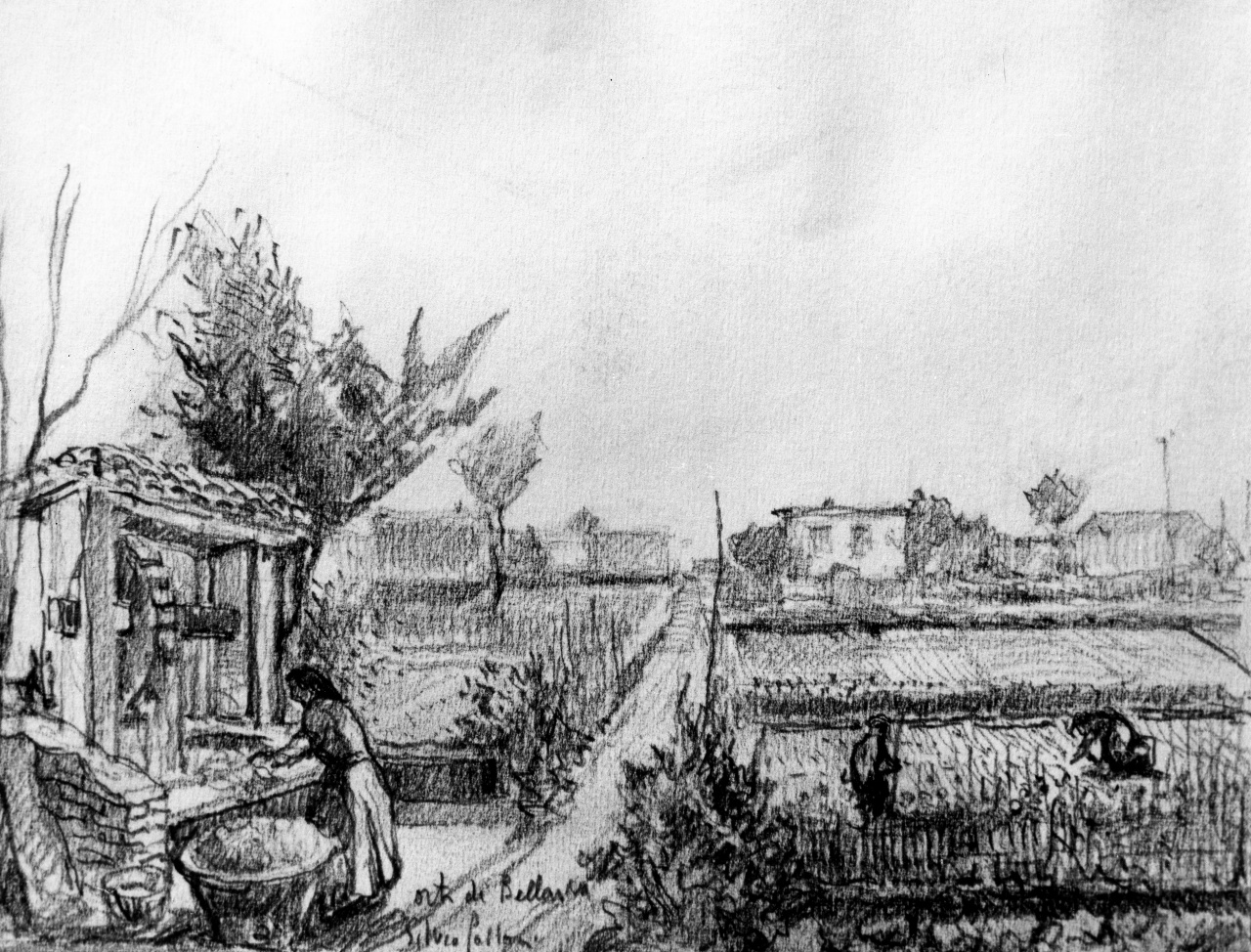 veduta di orti e campi di Bellariva a Firenze (disegno) di Polloni Silvio (sec. XX)