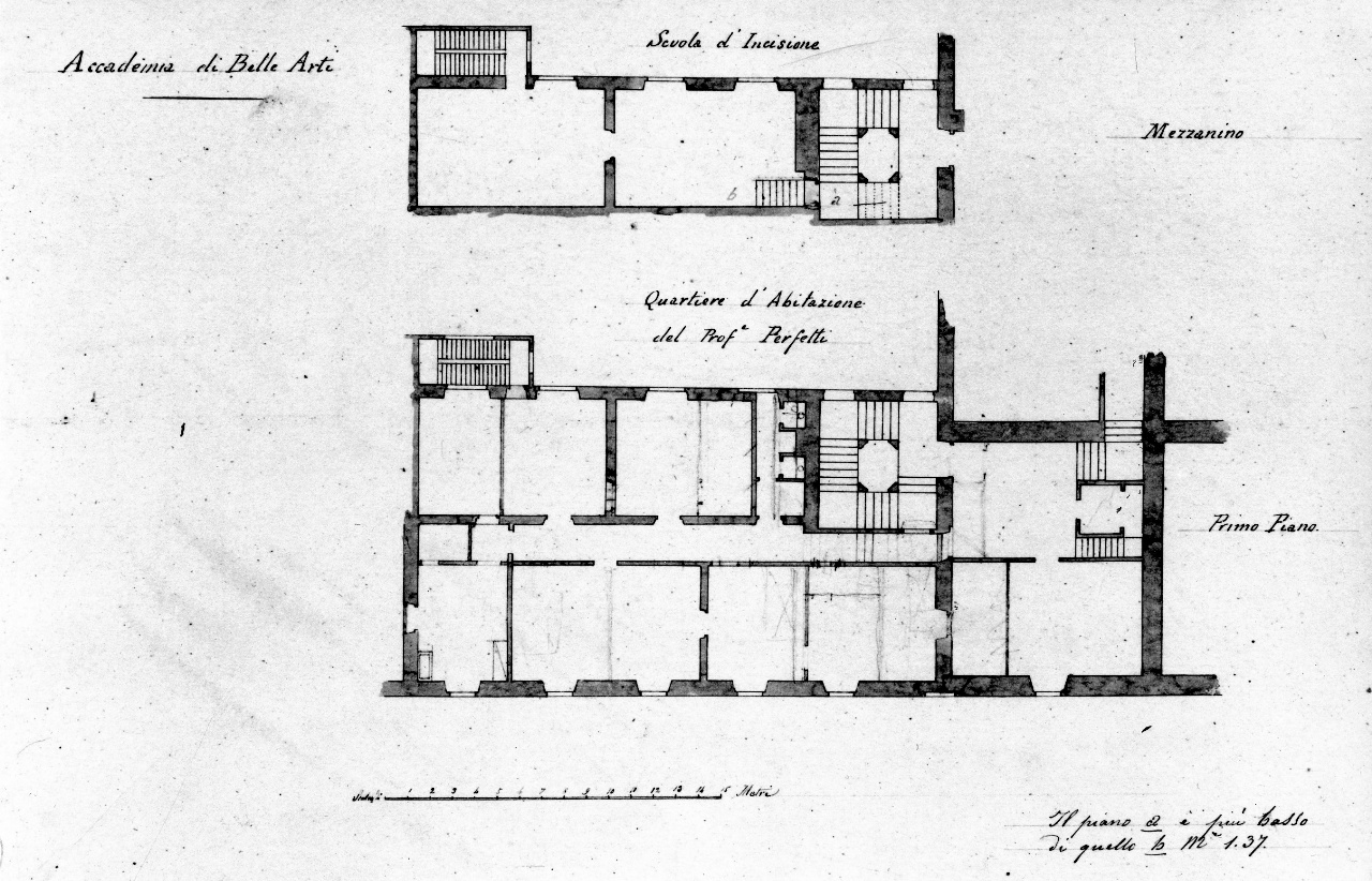 pianta dell'Accademia di Belle Arti a Firenze (disegno) - ambito fiorentino (terzo quarto sec. XIX)