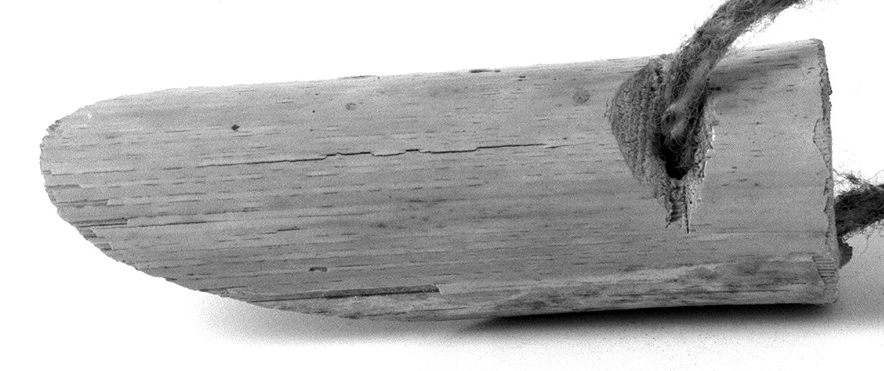 salvadito - ambito toscano (1989)