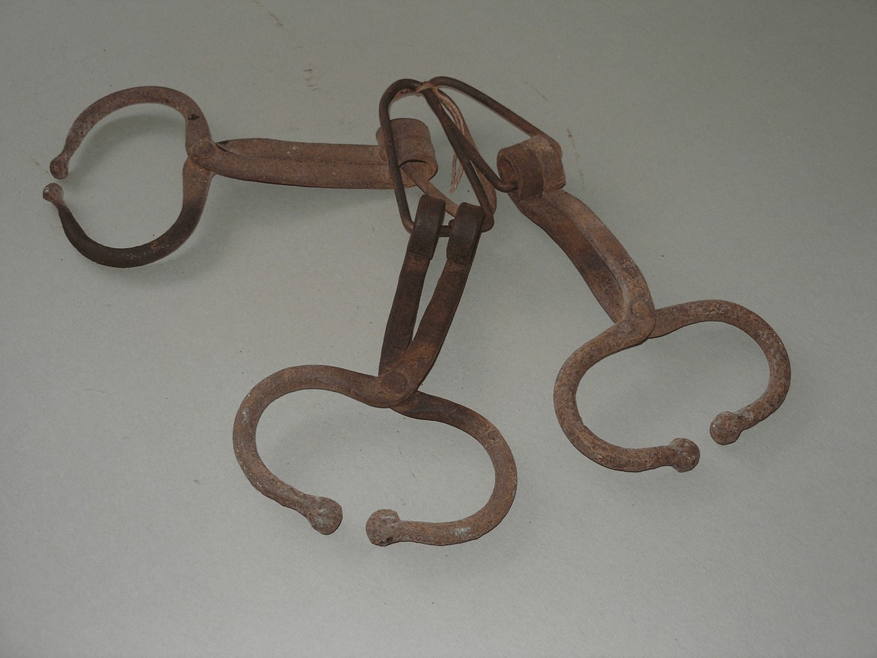 nasiera, strumento per gli animali - produzione grossetana (sec. XIX prima metà)