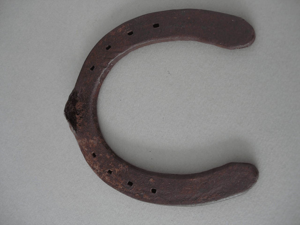 ferro da bue - bottega grossetana (sec. XIX)