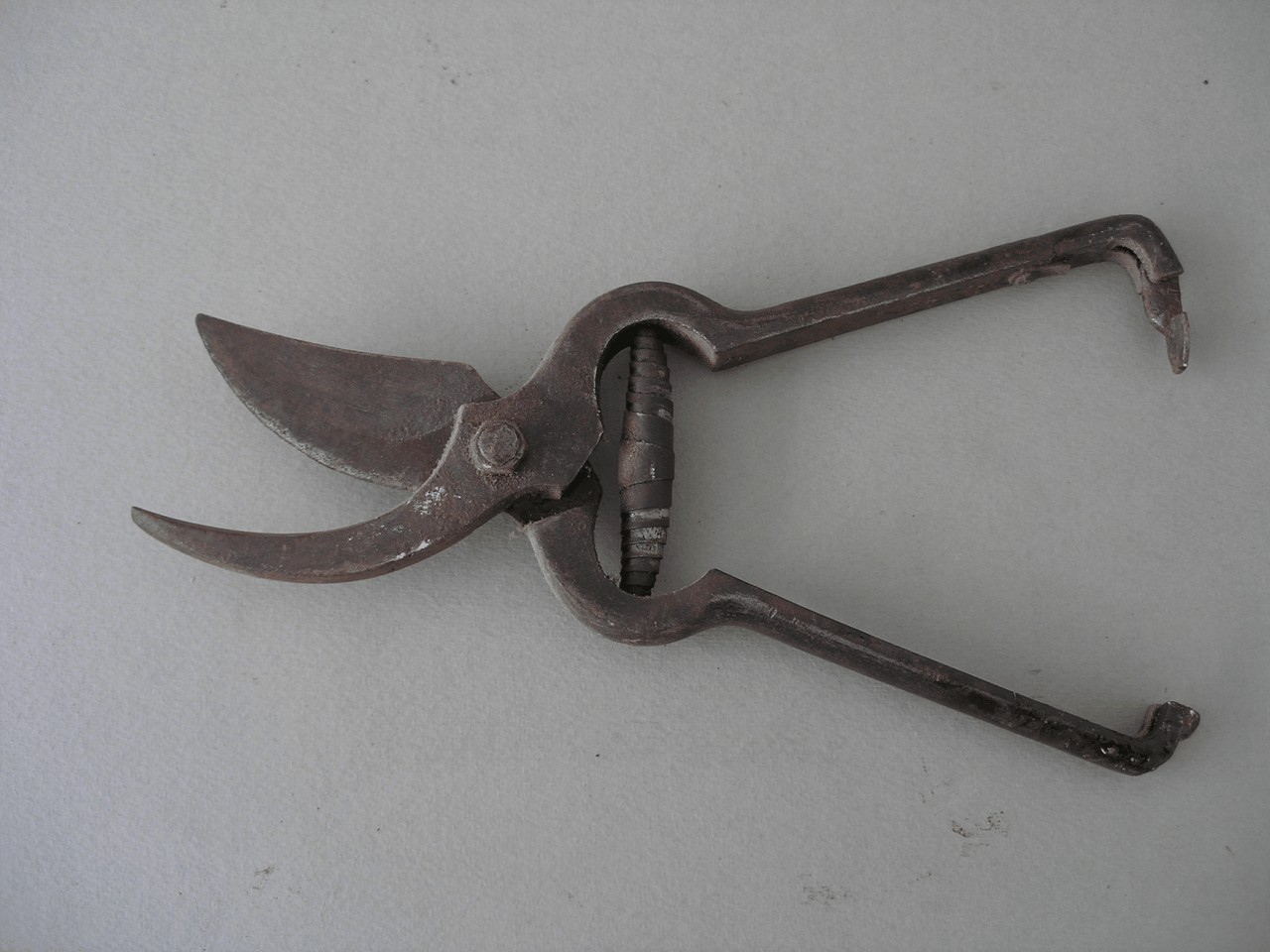 forbice da pota, strumento a mano - bottega grossetana (sec. XIX seconda metà)