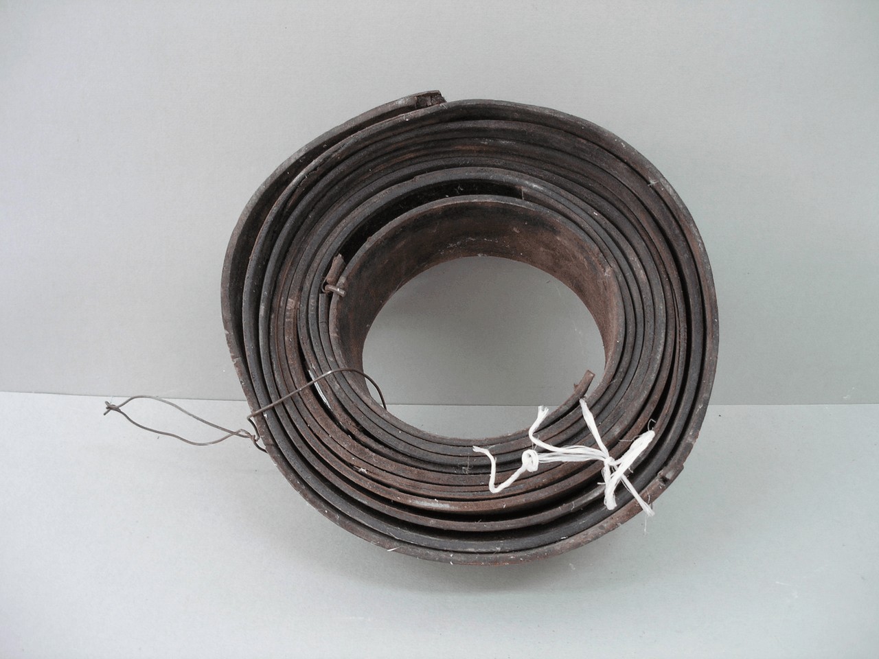 cinghia per motore - ambito grossetano (sec. XIX seconda metà)