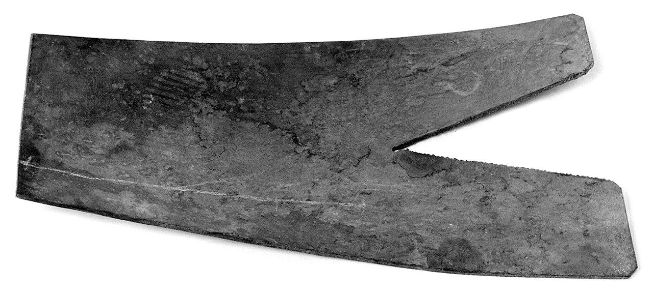 versoio - senese (1950 ante)