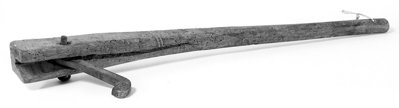 cane - senese (1950 ante)