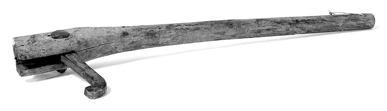 cane - senese (1950 ante)