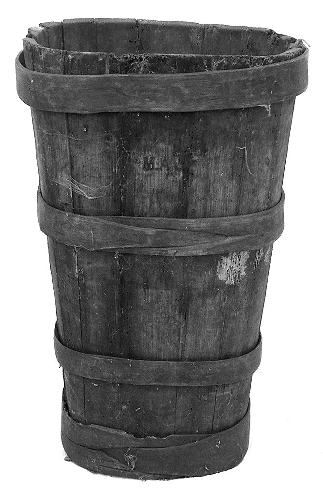 bigoncia - senese (1983 ante)