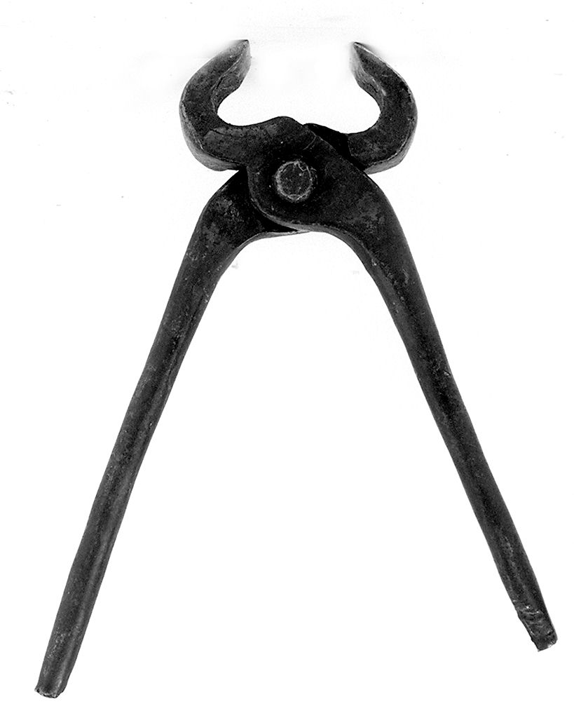 tenaglia - senese (1983 ante)