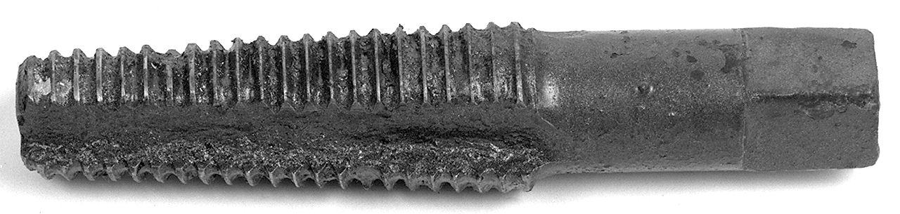 maschio finitore - senese (1983 ante)