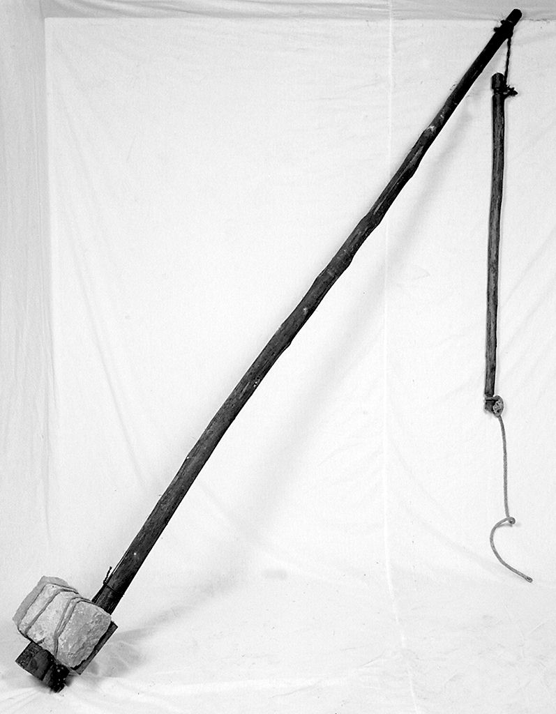 correggiato - senese (1983 ante)