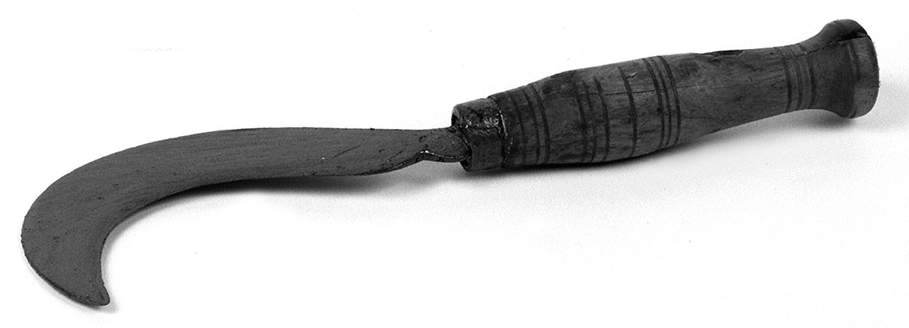 falcetto - senese (1983 ante)