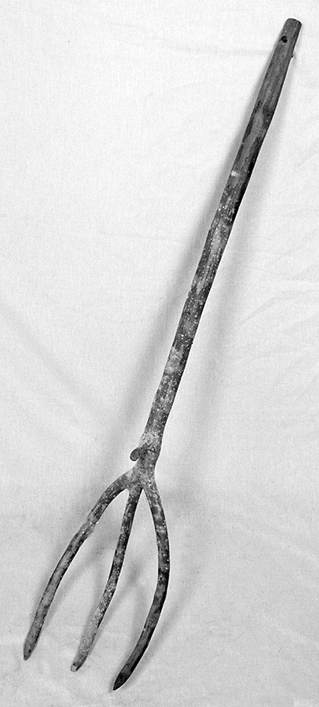 forca - senese (1983 ante)