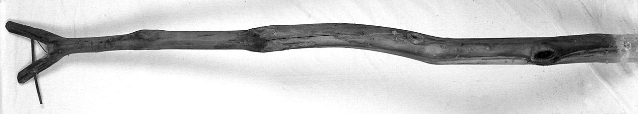 sostegno - senese (1983 ante)