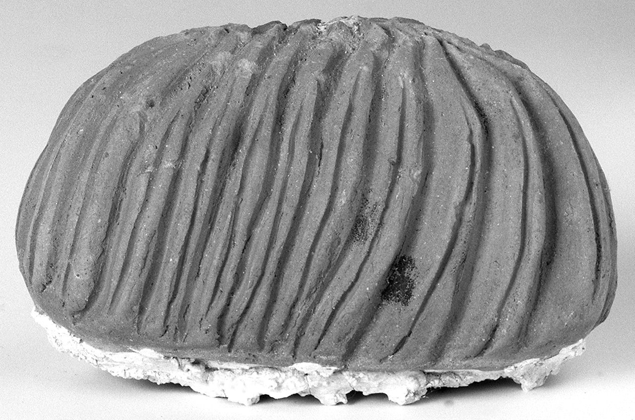 scultura - petroiano (sec. XX prima metà)