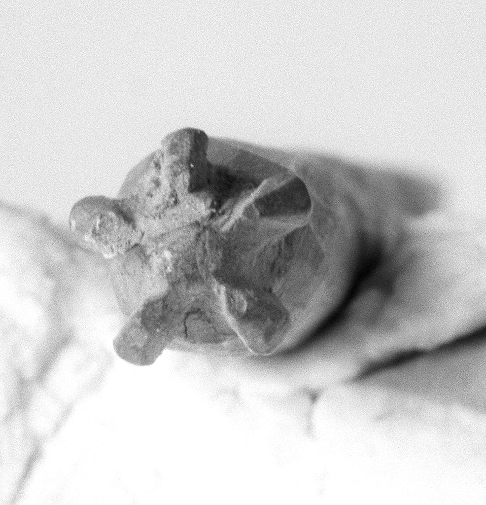 stampino - petroiano (v) (1989 ante)