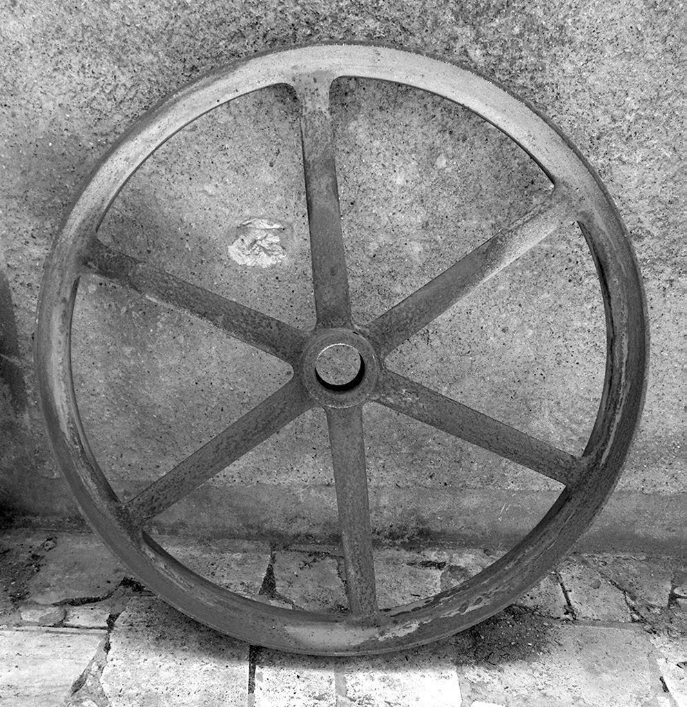 puleggia - senese (sec. XX)