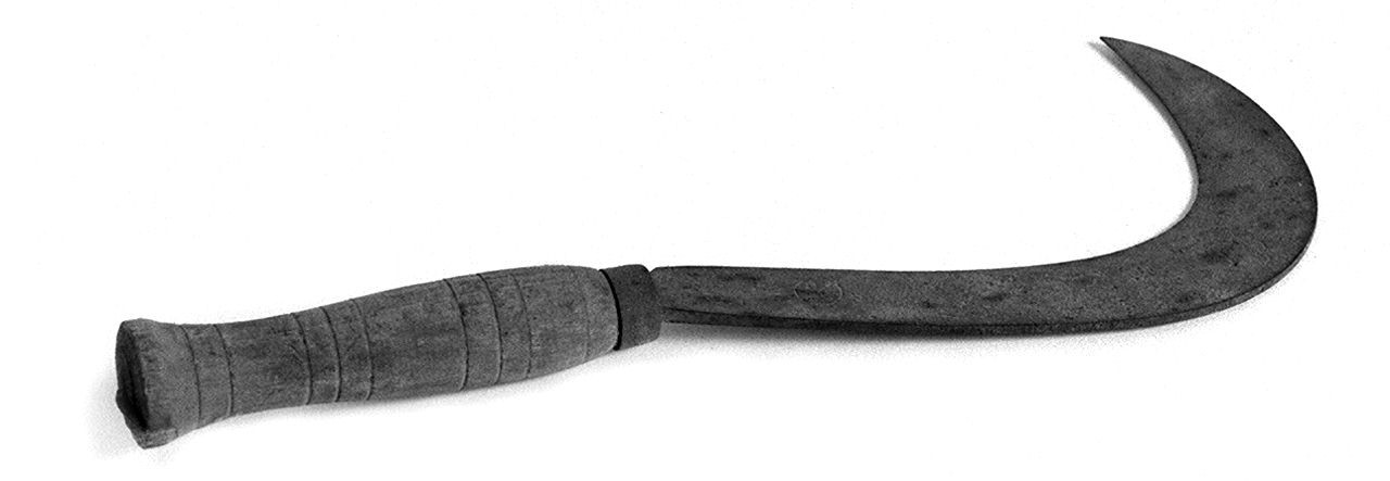 roncola - senese (1950 ante)