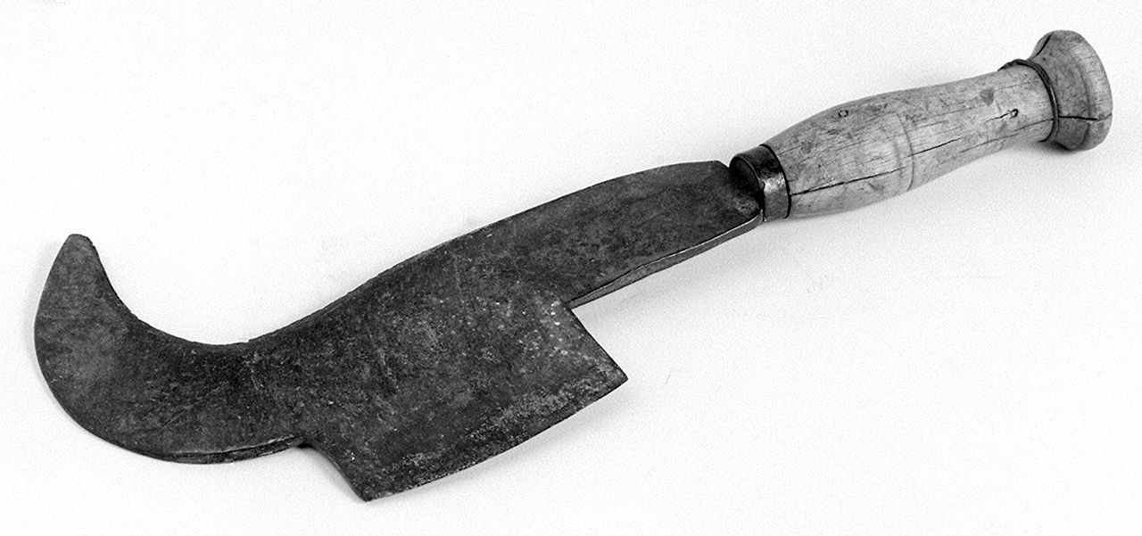 pennato - senese (1960 ante)