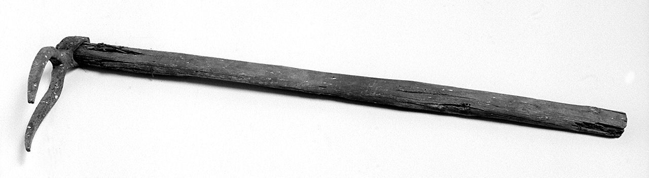 bidente - senese (1950 ante)