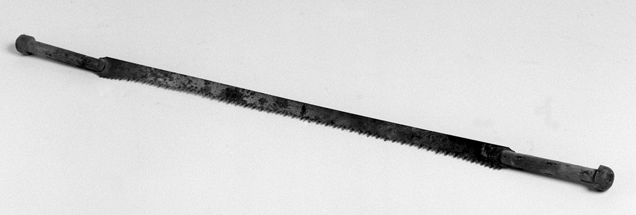 lama - senese (1950 ante)