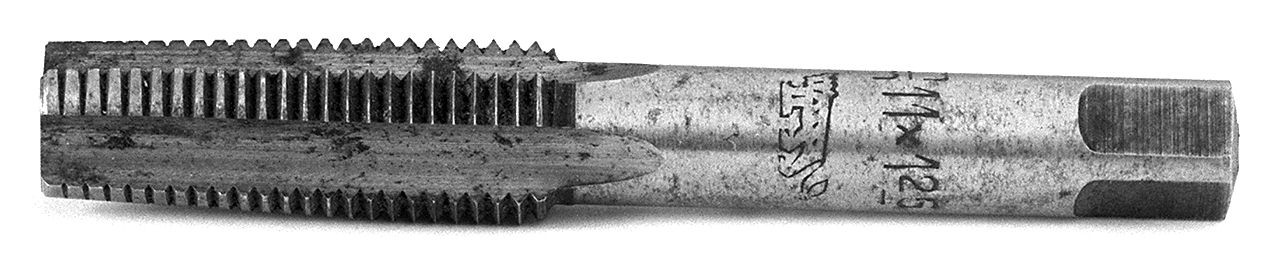 maschio finitore - bottga senese (1950)