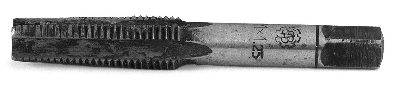 maschio sbozzatore - bottga senese (1950)