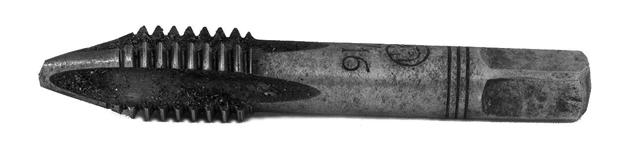 maschio finitore - bottga senese (1950)