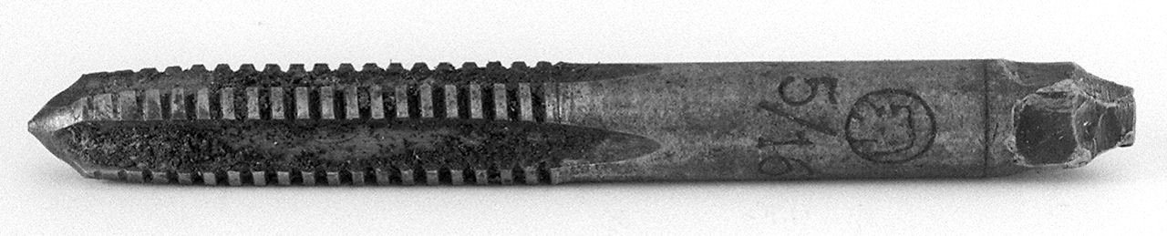 maschio sbozzatore - bottga senese (1950)