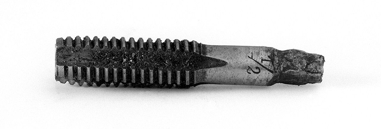 maschio finitore - bottga senese (1950)