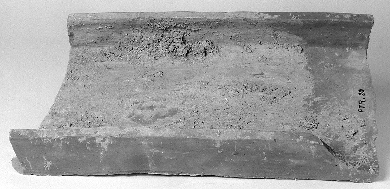 gronda - produzione di petroio (1950)