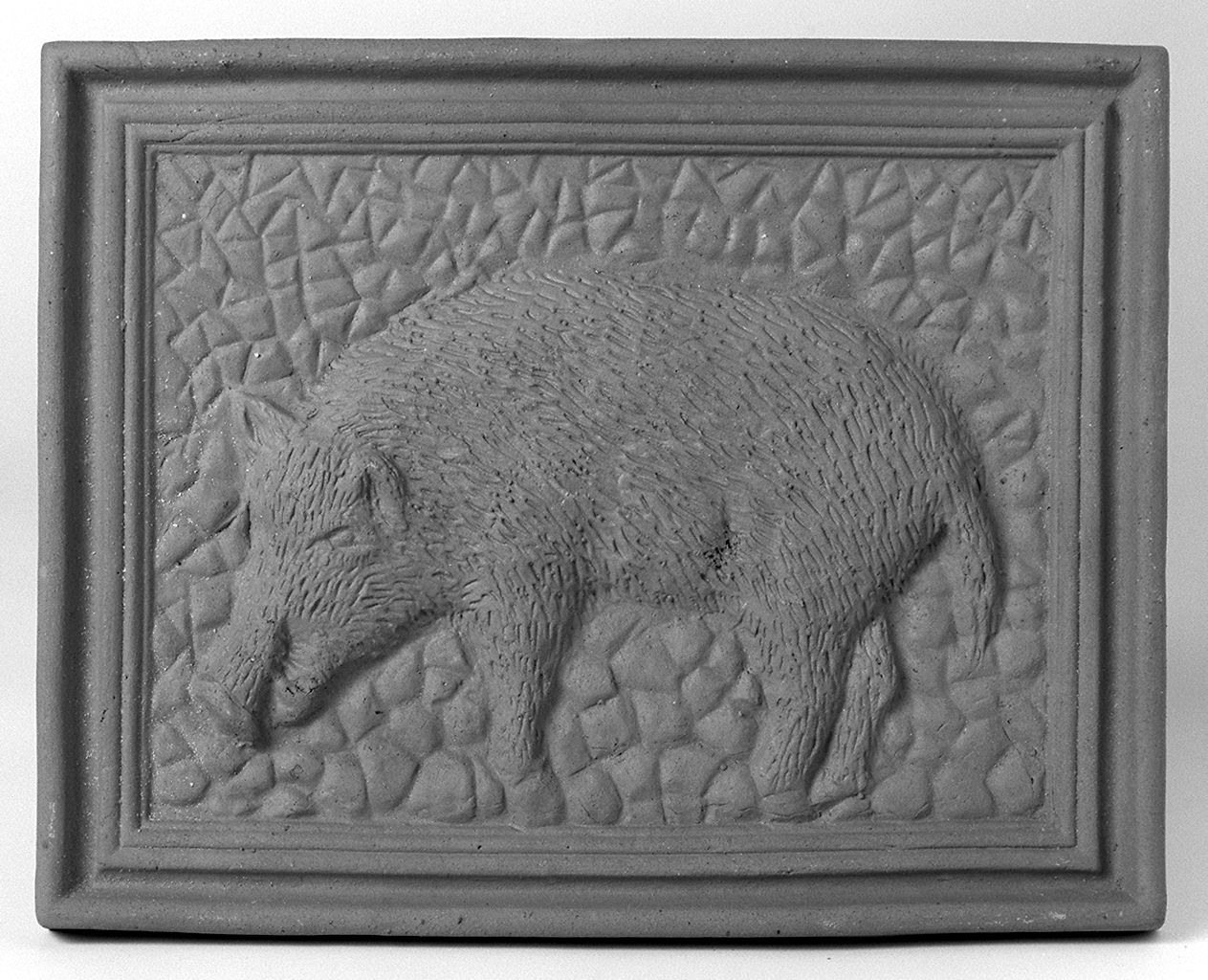 cinghiale (rilievo) - produzione di petroio (v) (1950 post)