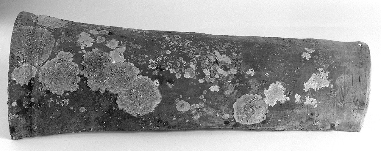 coppo - produzione di petroio (1960 ante)